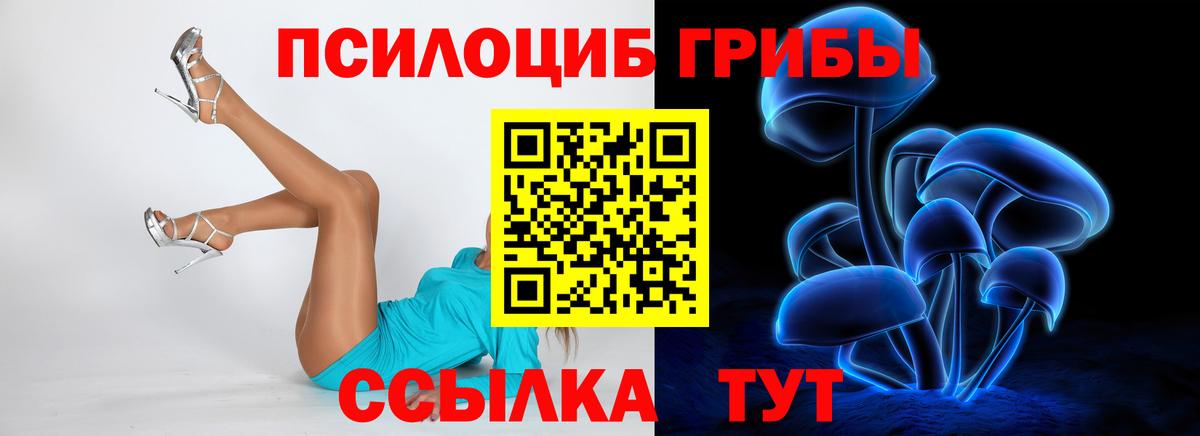 Галлюциногенные грибы ЛСД  Вход с VPN  как найти наркотики  Галлюциногенные грибы MAGIC MUSHROOMS  Славгород 