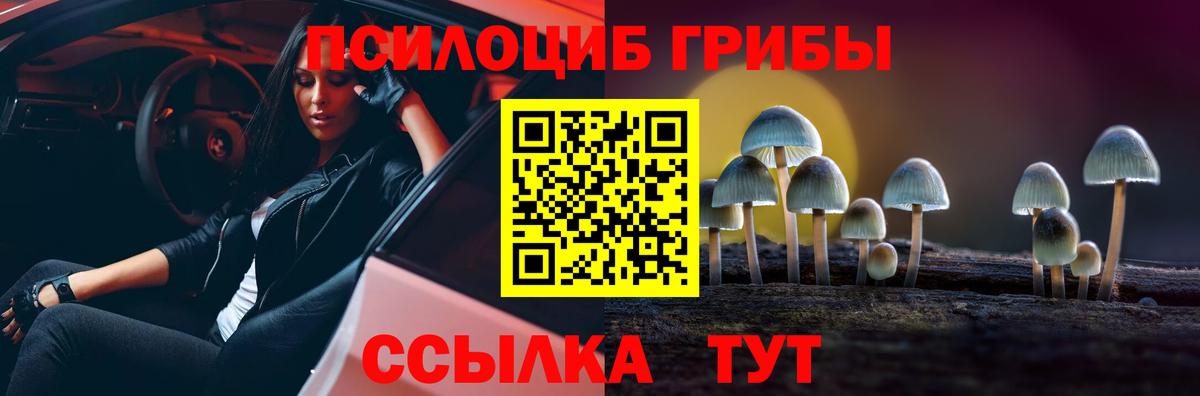 Галлюциногенные грибы прущие грибы Славгород