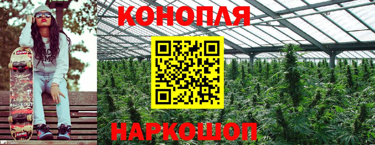 Славгород  Бошки Шишки планчик  Вход с VPN  Шишки марихуана марихуана  Конопля SATIVA & INDICA 